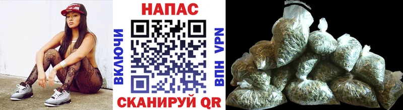 где найти наркотики  Котельниково  Каннабис ГИДРОПОН 
